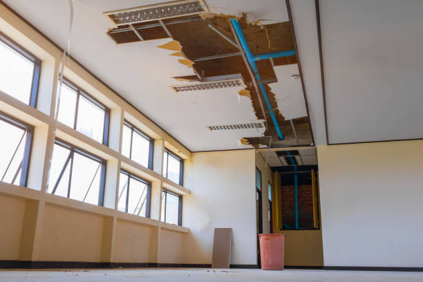 Best Basement water damage restoration  in Fort Myers Shores, FL