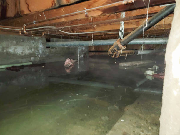 Best Water damage restoration near me  in Fort Myers Shores, FL