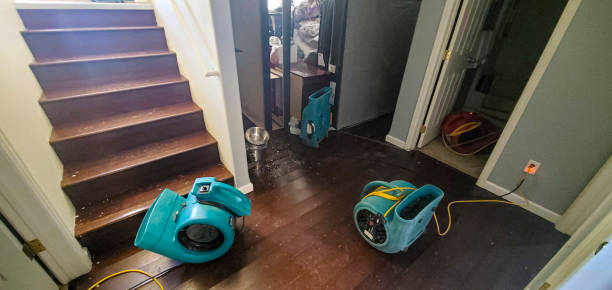 Best Local water damage restoration  in Fort Myers Shores, FL