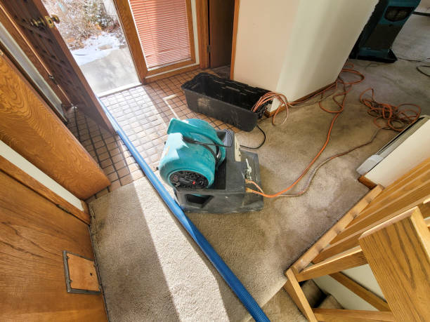Best Water damage restoration near me  in Fort Myers Shores, FL