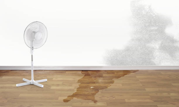 Best Flooded house restoration  in Fort Myers Shores, FL