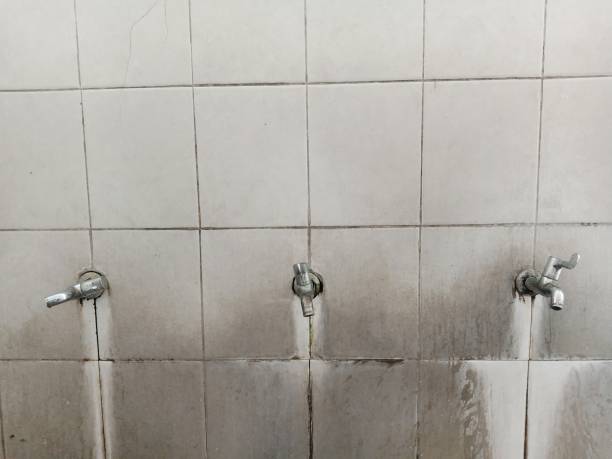 Best Flood damage cleanup  in Fort Myers Shores, FL