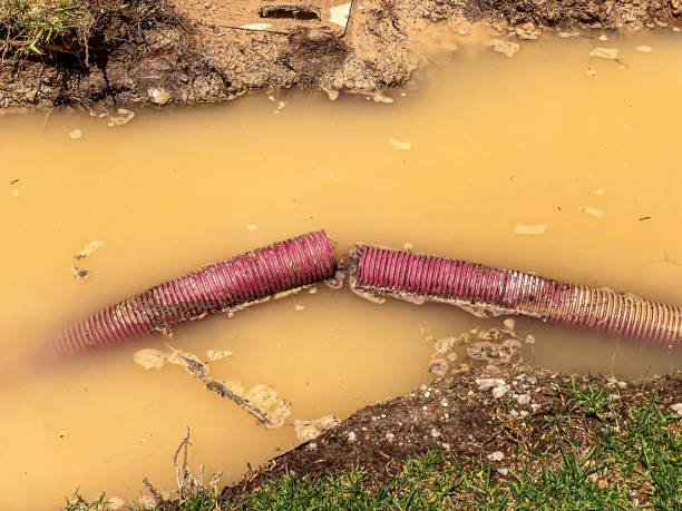 Best Carpet water damage restoration  in Fort Myers Shores, FL