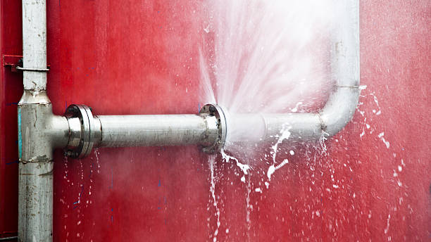Best Water damage cleanup near me  in Fort Myers Shores, FL